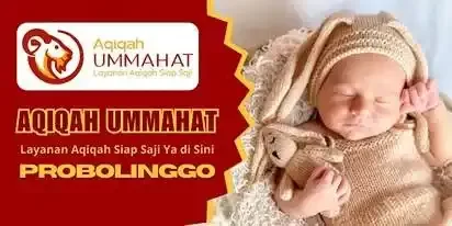 aqiqah probolinggo ummahat
