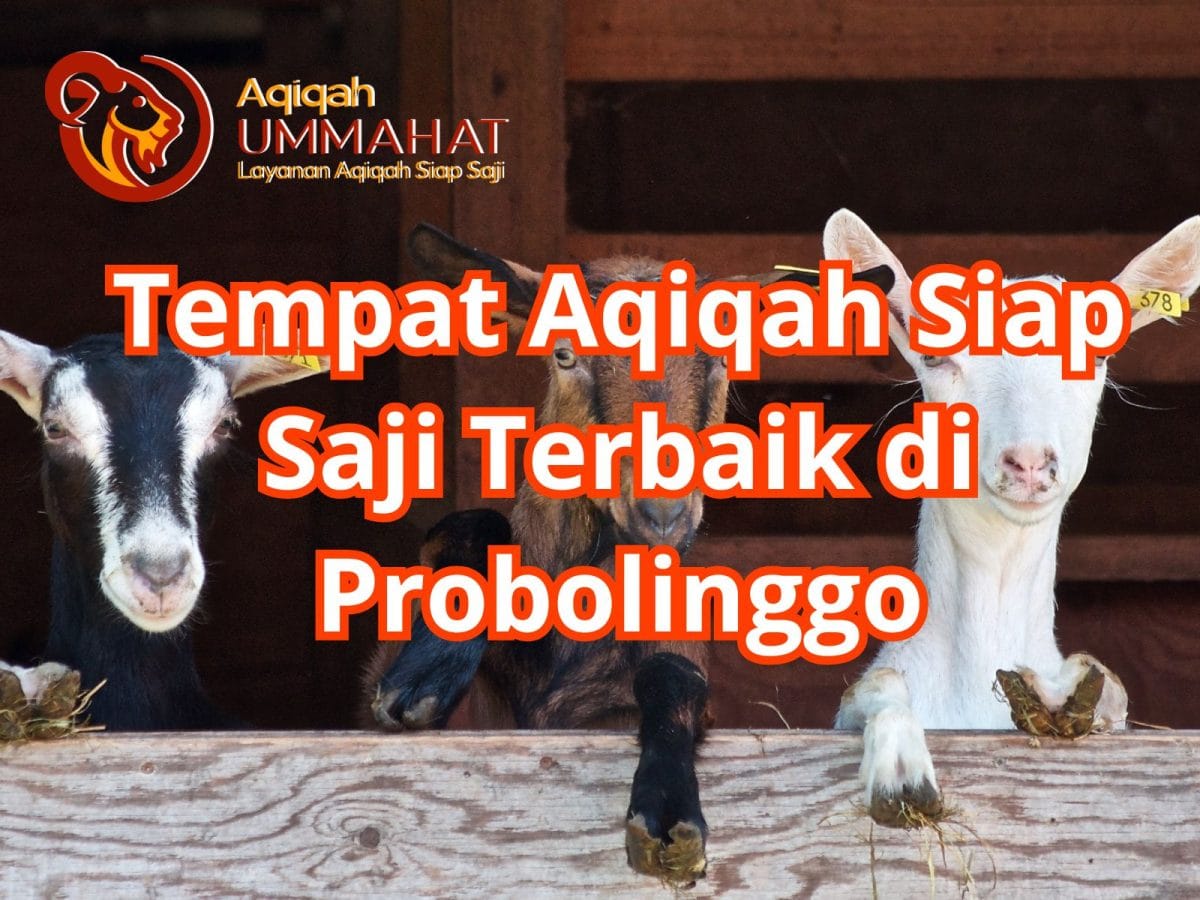 Tempat Aqiqah Siap Saji Terbaik di Probolinggo