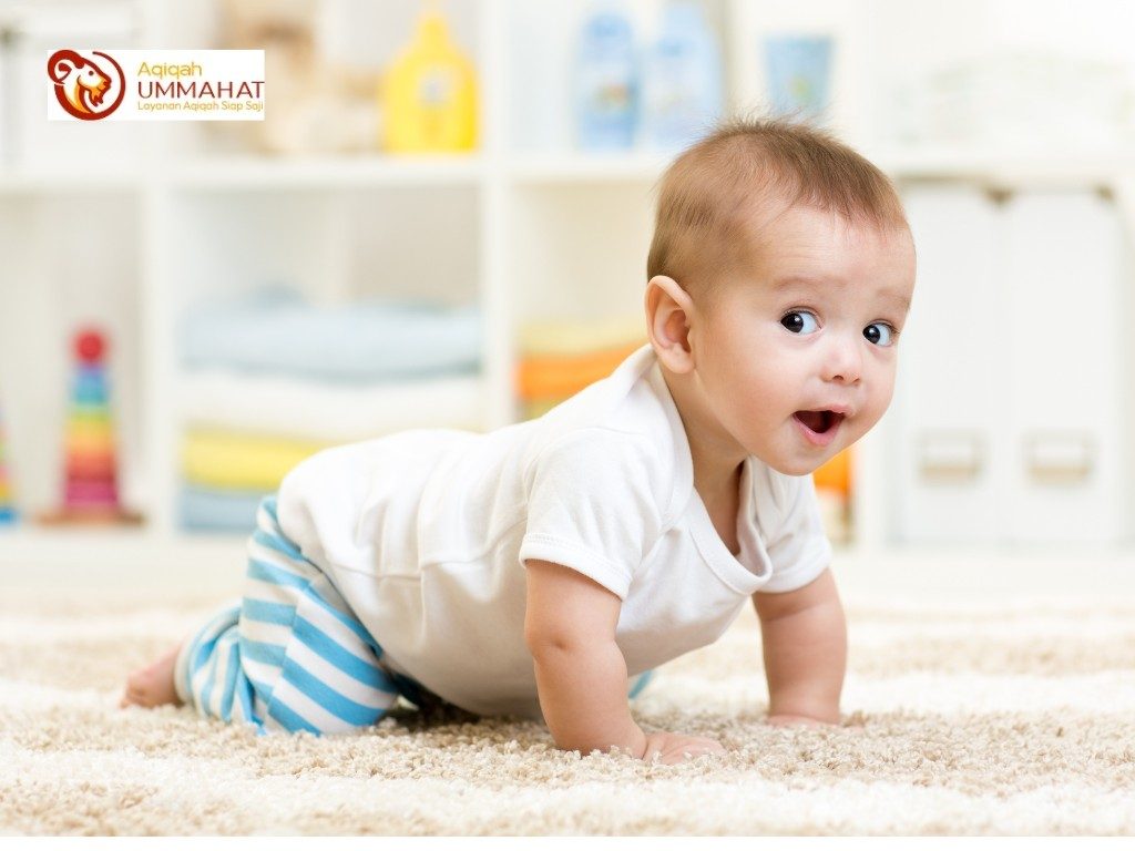 Aqiqah Anak Laki Laki